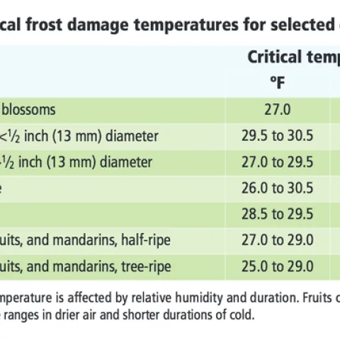 Frost damage table, ANR Publication 8100