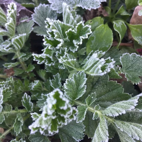 photo by Jennifer Baumbach