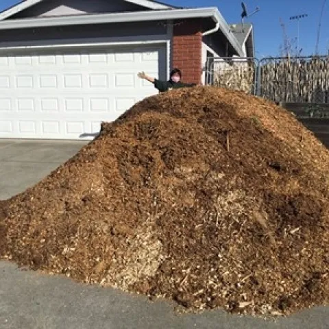 photo by Vic Saravia