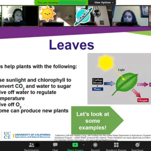Sci. Night Presentation 1 clean