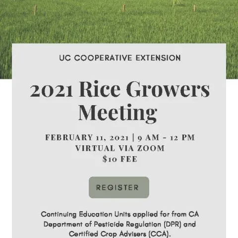 2021 Rice Growers Meeting UPDATED Announcement