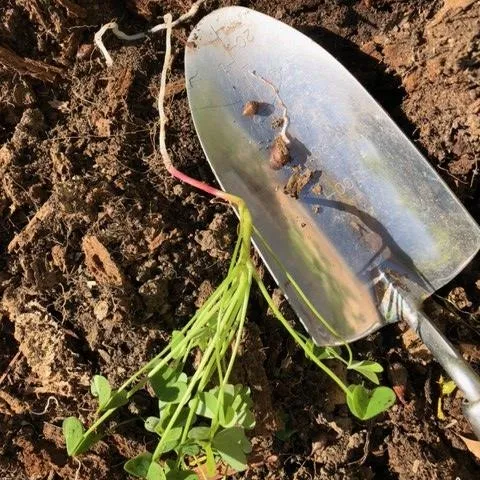 photos by Kathy Craig