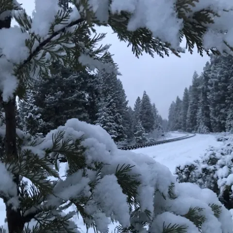 A cool weekend for Mark