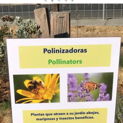 Flyer on a post that reads Pilinzadoras and Pollinars with bees and butterfly images.