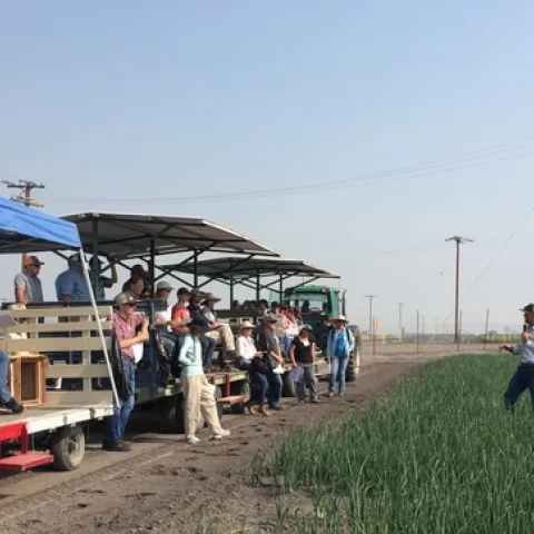 Rob Wilson discusses research on onion white rot at a 2018 field day.