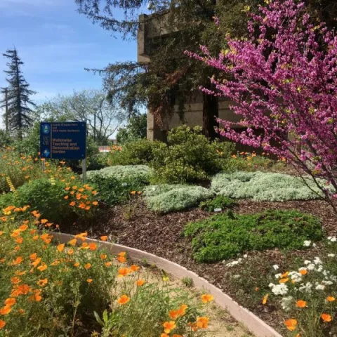 Master Gardeners’ Berger Native Demonstration Garden, by Rebecca Schoenenberger