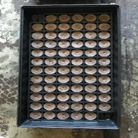 photos by Elvie DeLeon