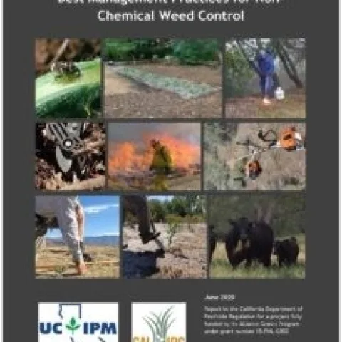 Best Management Practices for Non-Chemical Weed Control manual cover