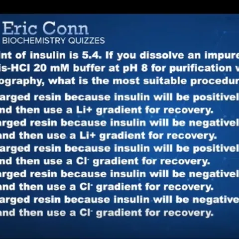Natalie Six of the winning Gibbs Team answers a question. (Screen shot)