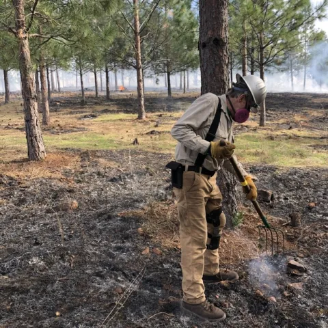 Broadcast burning in Colfax