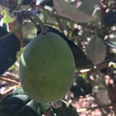 Photo by Andrea Peck