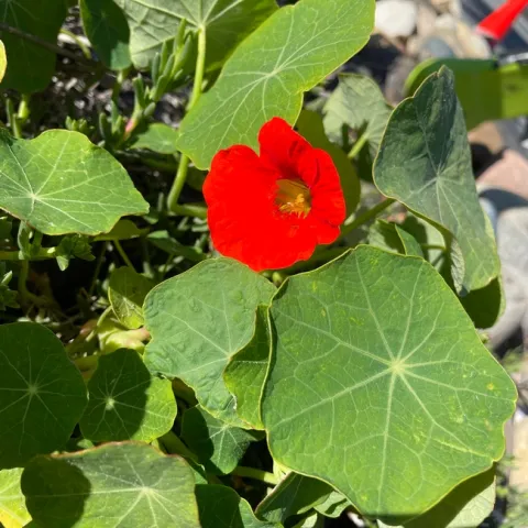 Photo by Alissa Bright