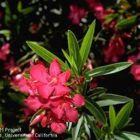 photo by Jack Kelly Clark