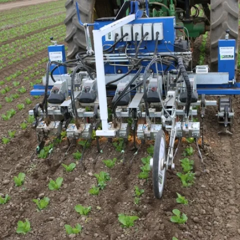 CUTLINE: First-generation, vision-based, intelligent cultivators are now available to help control weeds in specialty crops. (Photo courtesy of Steve Fennimore, University of California, Davis.)