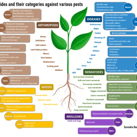 Biopesticide categories-Surendra Dara