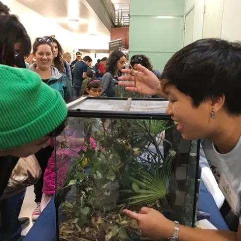 UC Davis entomology major Rebecca Jean "RJ" Millena shows visitors some of the critters in the Bohart Museum of Entomology.