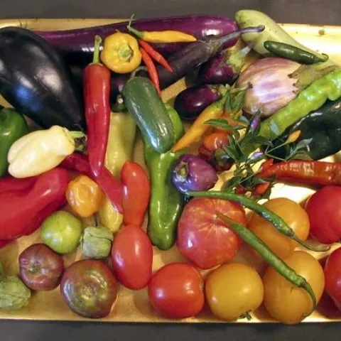 Nightshade vegetables. (naturalhealthtechniques.com)