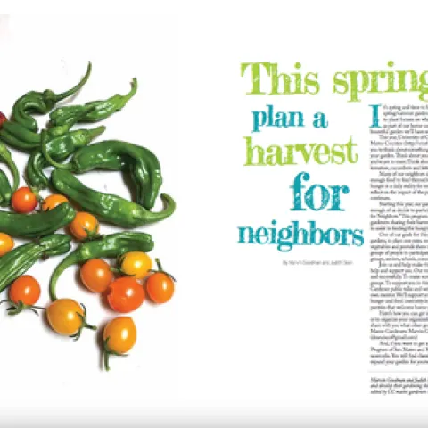 harvest for neighbors