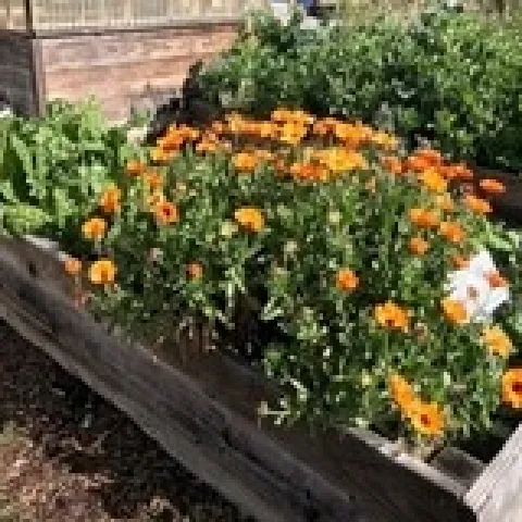 photos by Elvia Deleon