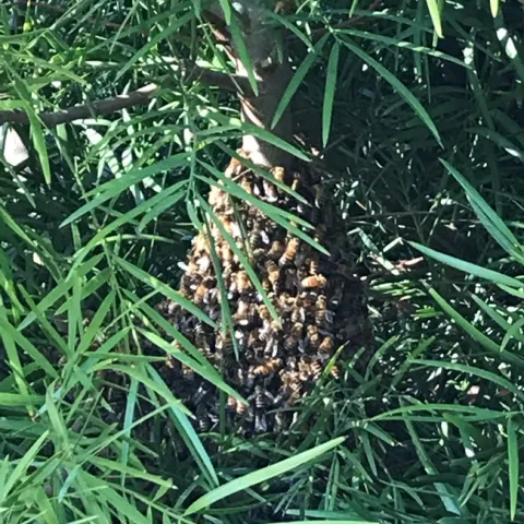 photos by Janet Snyder