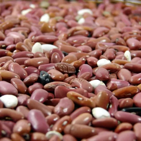 Dried beans