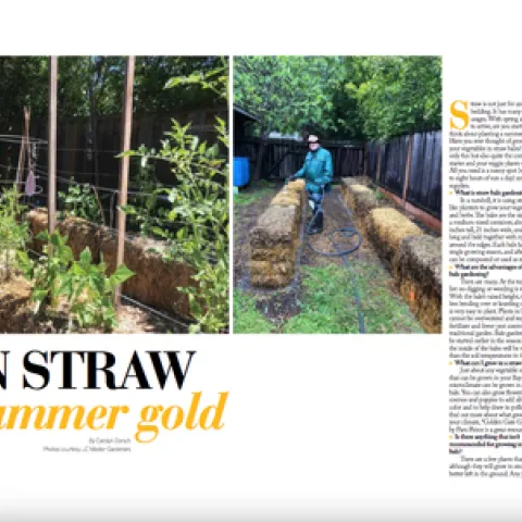 april 2021 strawbales