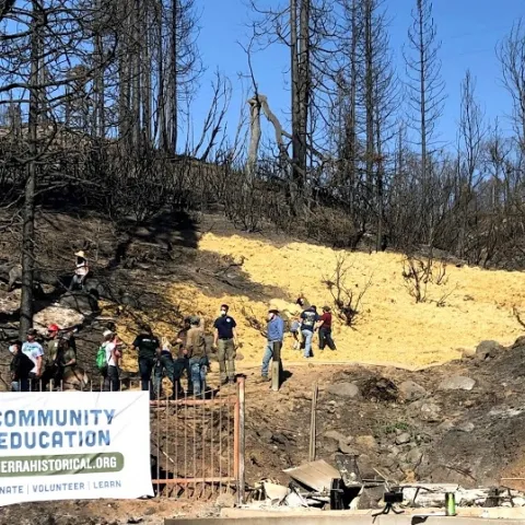 After the Creek Fire, the 4-H Ambassadors partnered with Intermountain Nursery and Sierra Resiliency Fund to prevent soil erosion.