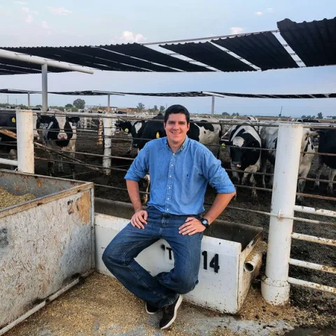 Pedro Carvalho sits outside Desert REC feedlot pen with black & white cattle looking at him.