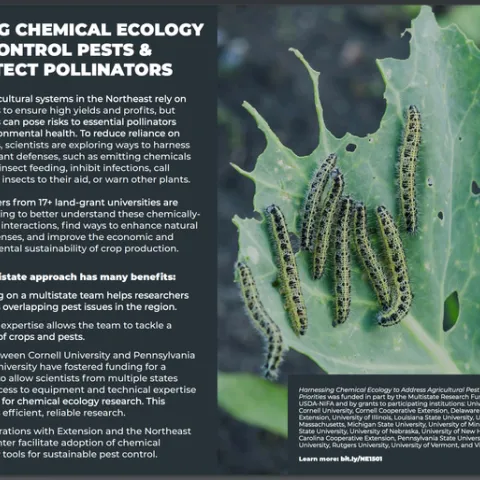 The UC Davis research of Richard Karban and Rachel Vannette is spotlighted on Multistate Research Fund's impact statement on "Using Chemical Ecology to Control Pests and Protect Pollinators."