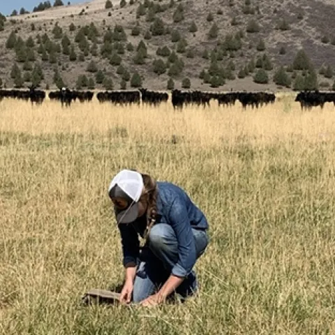 Woodsmansee on ranch land in Shasta Valley in Siskiyou County, California. Photo by Nicole Stevens.