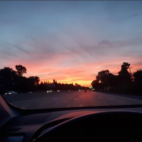 Roxanne Moger shares a post, "Heading out at dawn for a day of nature observations on the first day of the City Nature Challenge. #calnatshare"