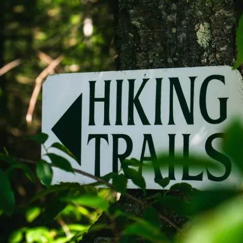 photo Ronan Furuta- Unsplash