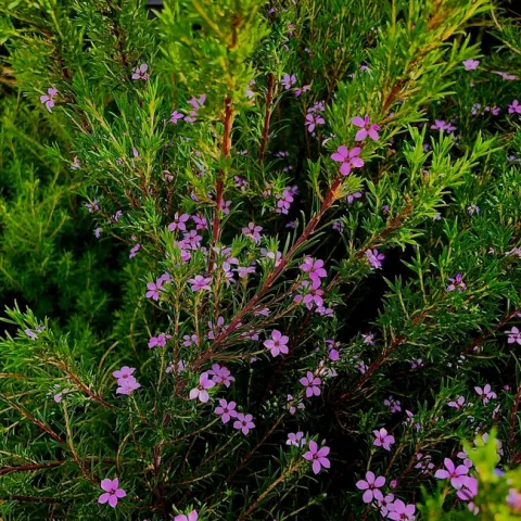 Photo by Ardis Neilsen