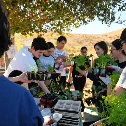 Bob and Sharon Crafton Hills Garden