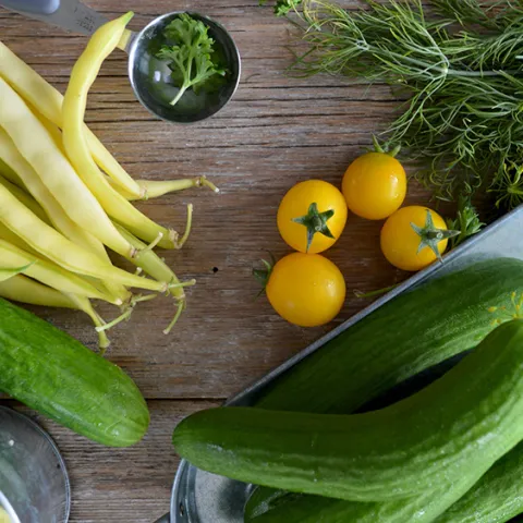 Nadine Primeau, Unsplash