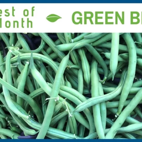 Green Beans June