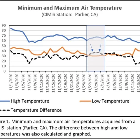 Figure 1 Walnut Freeze