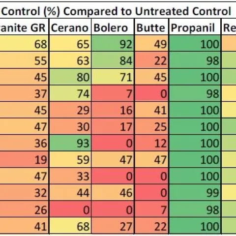 Table 2. Percent control compared to untreated control by biomass at 14 Days After Treatment of 2 known susceptible late watergrass populations (Susceptible 1 and Susceptible 2), and 10 unknown watergrass populations (identified by county and sample number).