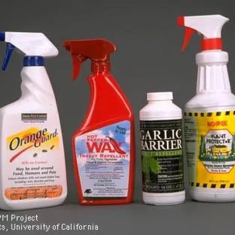 Four different pesticides lined up.