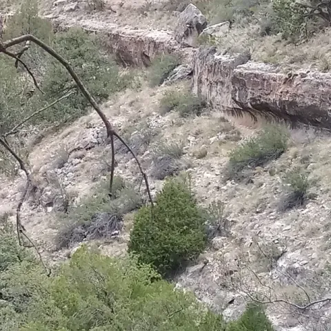 photos by Jenni Dodini