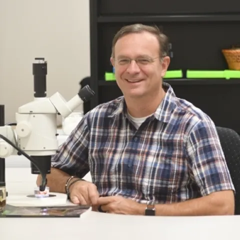 Professor Jason Bond, the Evert and Marion Schlinger Endowed Chair in Insect Systematics, UC Davis Department of Entomology and Nematology. (Photo by Kathy Keatley Garvey)