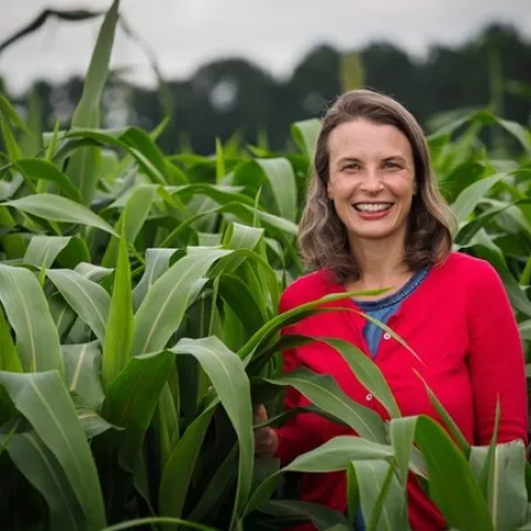 UC Davis alumnus Hannah Burrack, a professor of entomology and extension specialist at North Carolina State University, Raleigh, has been named chair of the Department of Entomology at Michigan State University, effective Jan. 1, 2022.