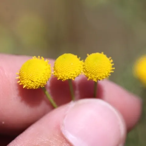 5C8BB7AA-B098-4A8A-90F9-F8A602717B12 1 105 c