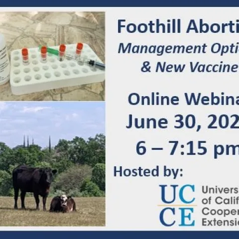 foothill abortion workshop