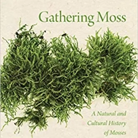 Gathering Moss