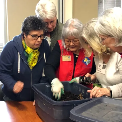 Four people gathered around an instructor with a worm composting bin to inspect the contents.