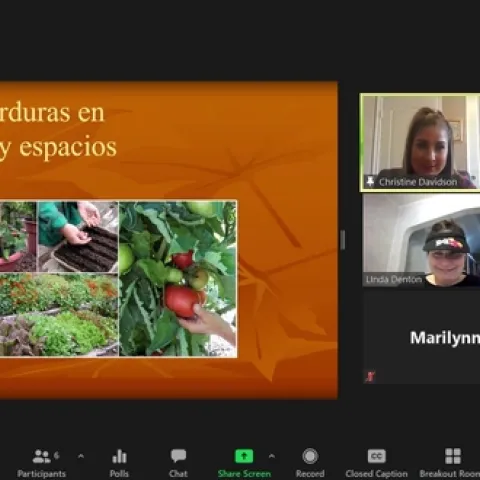 Fall garden fall 2020 (1)