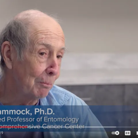 UC Davis distinguished professor Bruce Hammock,who holds a joint appointment with the Department of Entomology and Nematology and the UC Davis Comprehensive Cancer Center, discusses the project in this screen shot from the YouTube video.