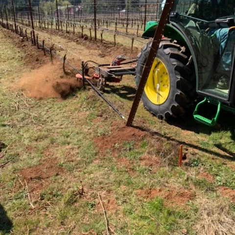 Figure 1. On farm study evaluating under-vine cultivator in Turner, OR in the spring of 2021.