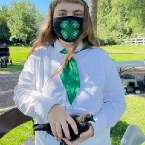 2021 6 Poultry show 3